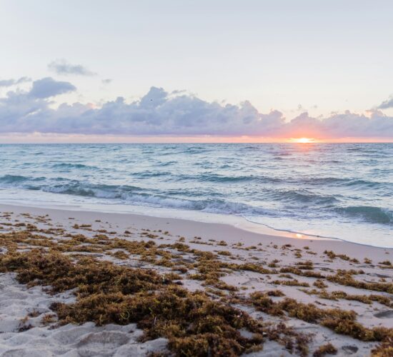 Sunrise Views
