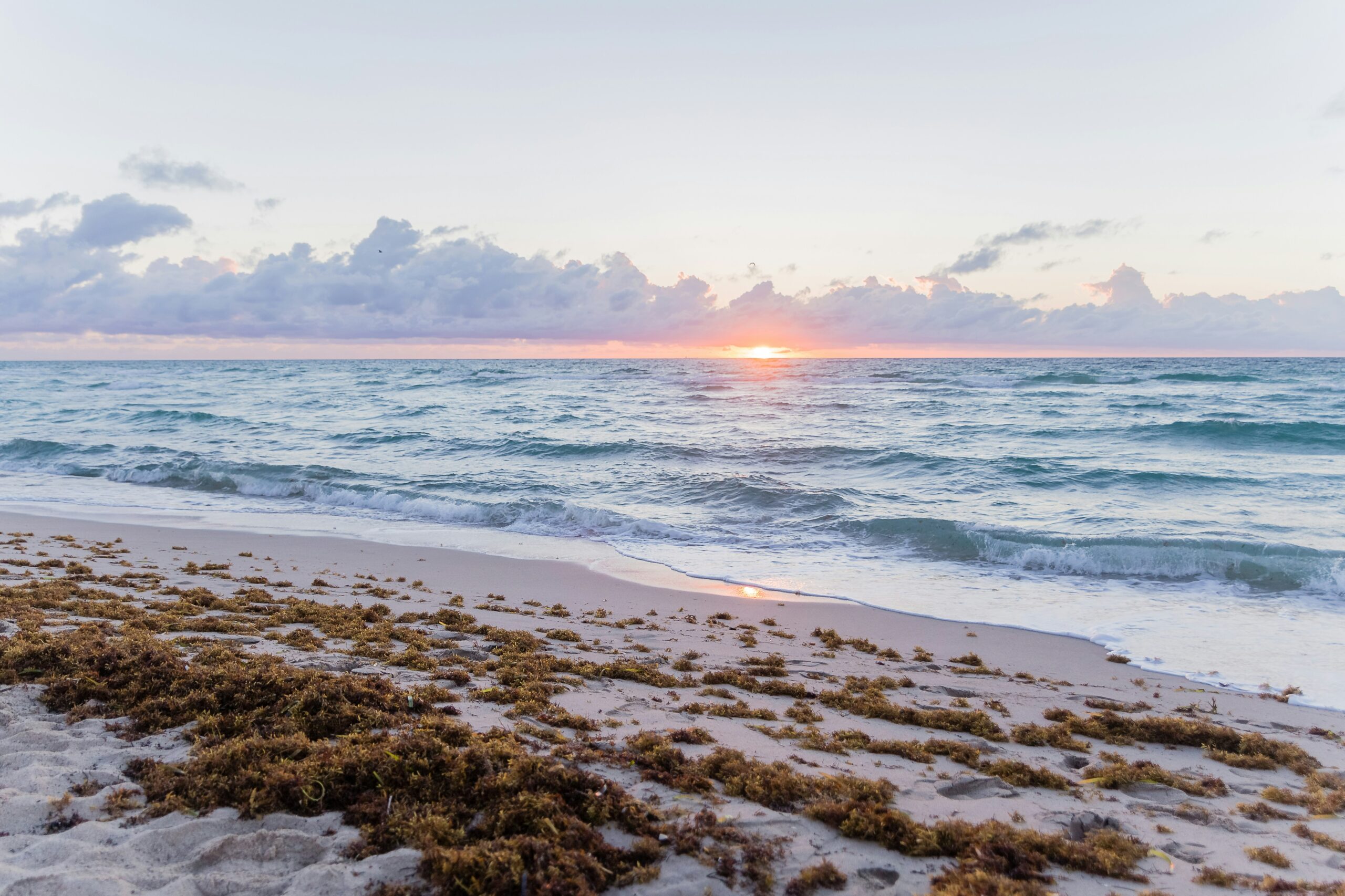 Sunrise Views