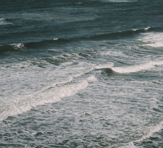 Life lessons from the sea