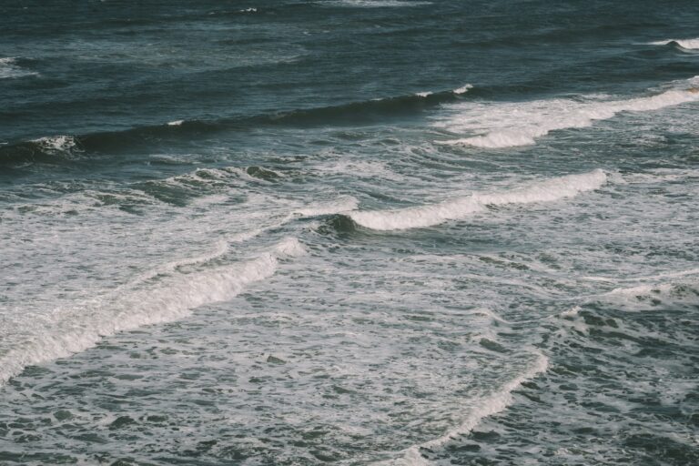 Life lessons from the sea